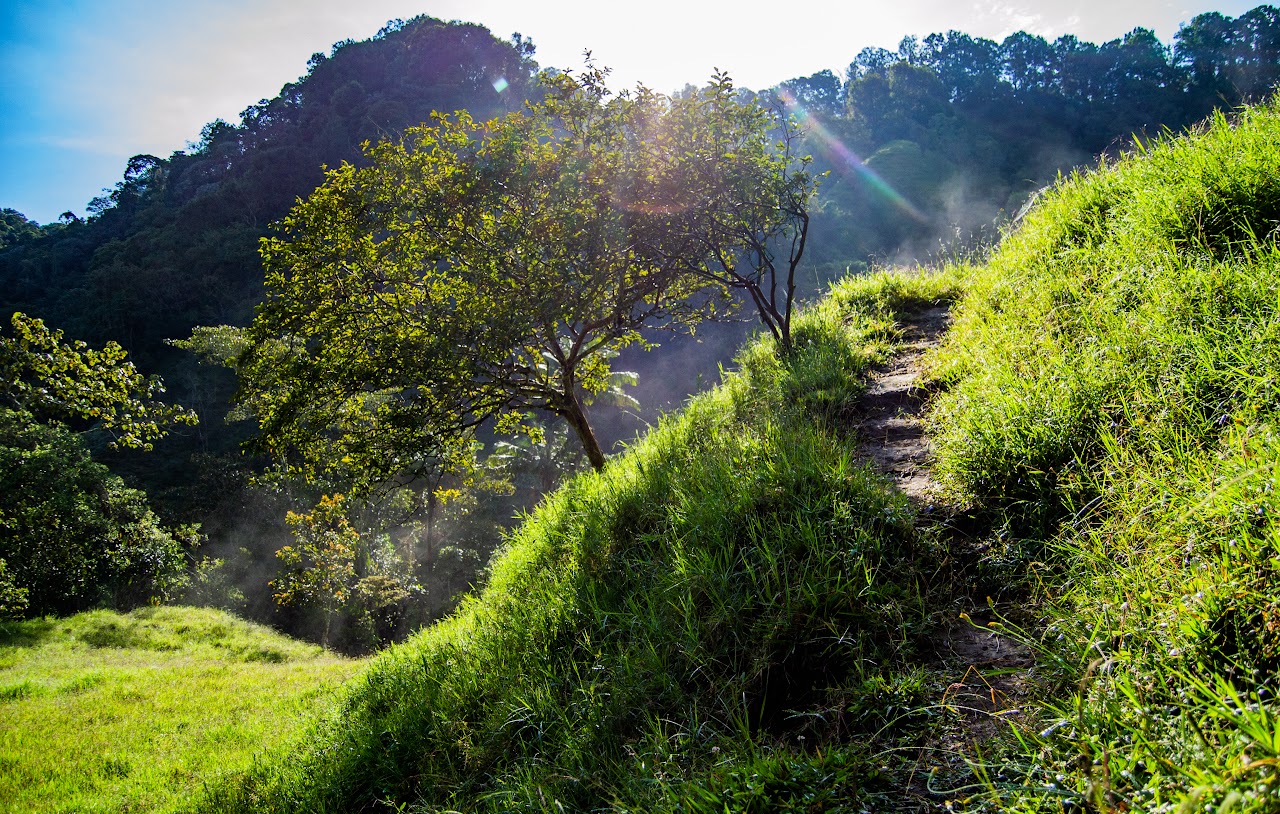 Paisaje Santa Rita