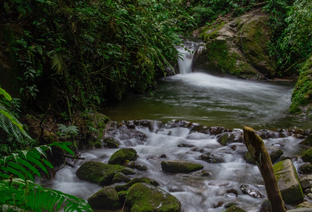 Río Santa Rita